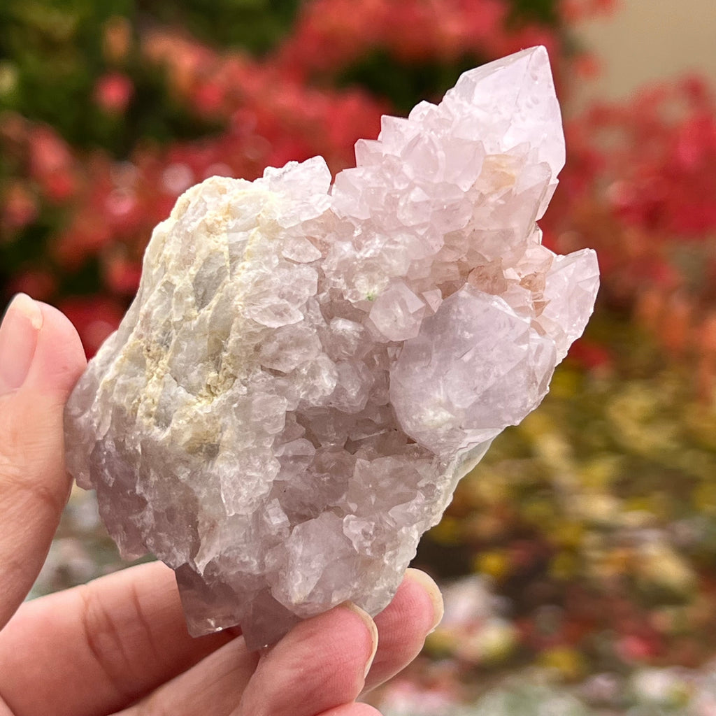 Cluster cuart cactus / cuart spirit ametist liliac model 9A, druzy.ro, cristale 1