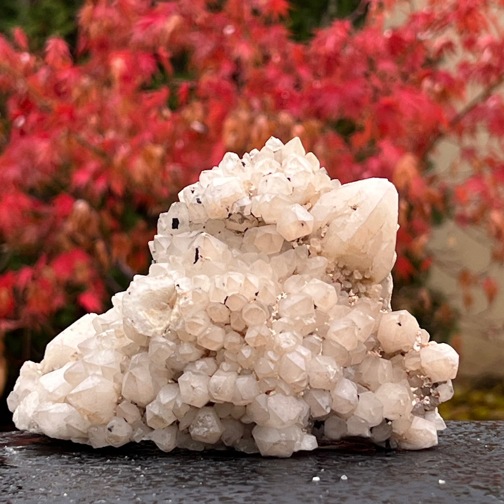 Cluster cuart ananas, cuart de stanca din Madagascar model 7, druzy.ro, cristale 3