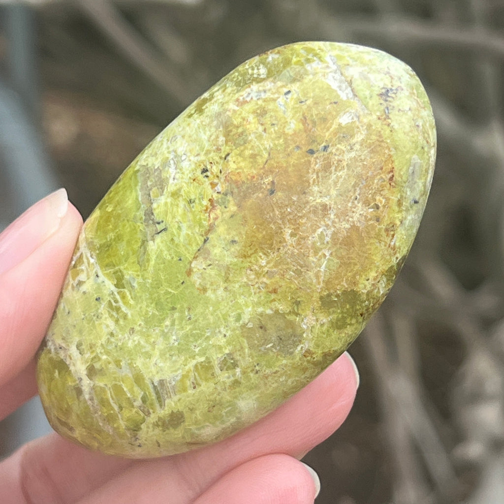 Opal verde palmstone m2, pietre semipretioase - druzy.ro 2 
