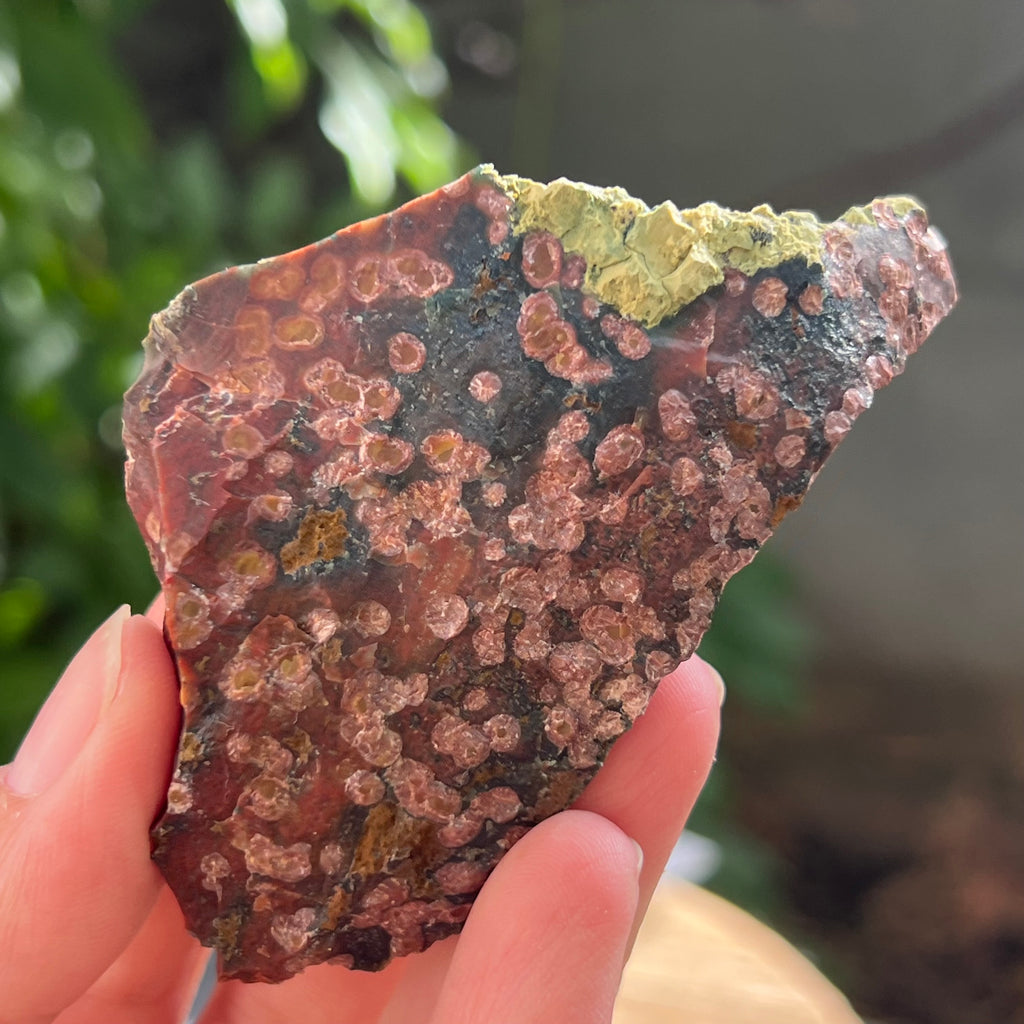 Sardonix India piatra bruta m12, pietre semipretioase - druzy.ro 2 