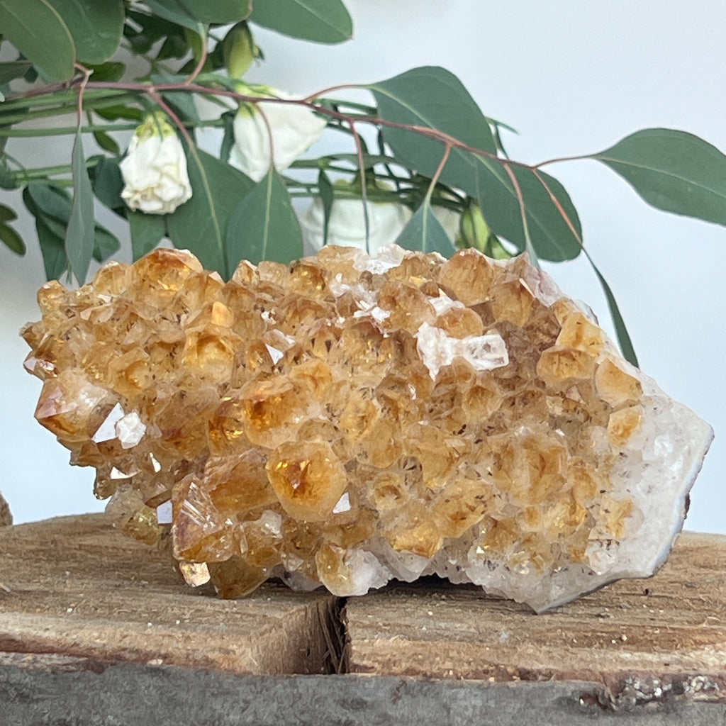Cluster de Citrin tratat termic| Model 6, pietre semipretioase - druzy.ro 2 