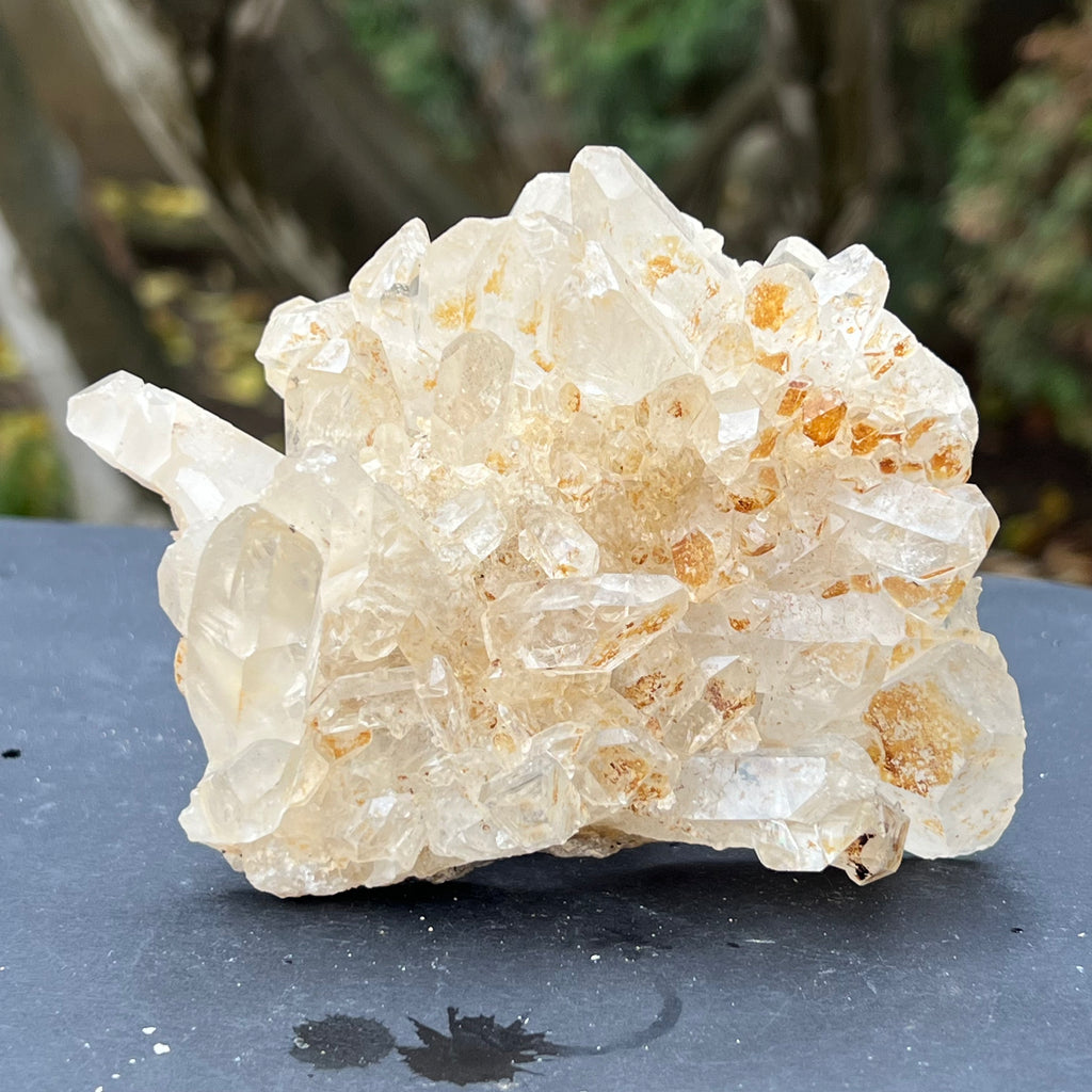 Cluster cuart incolor, floare de mina, cristal de stanca Zimbabwe m2, druzy.ro, cristale 1
