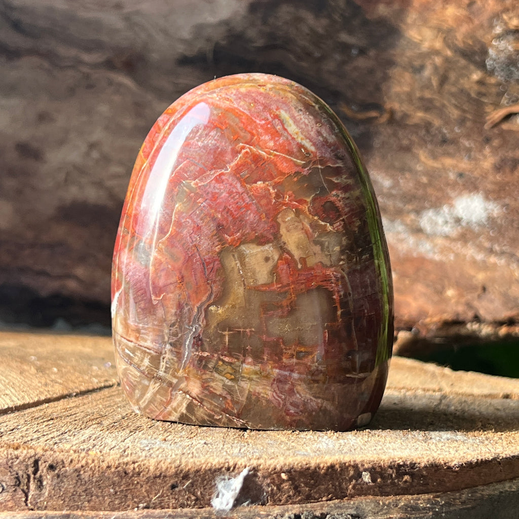 Lemn pietrificat sculptura model 3, pietre semipretioase - druzy.ro 5 