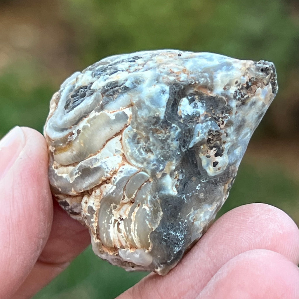 Cluster Agat FEATHER m9, agat cu cuart, druzy.ro, cristale 5