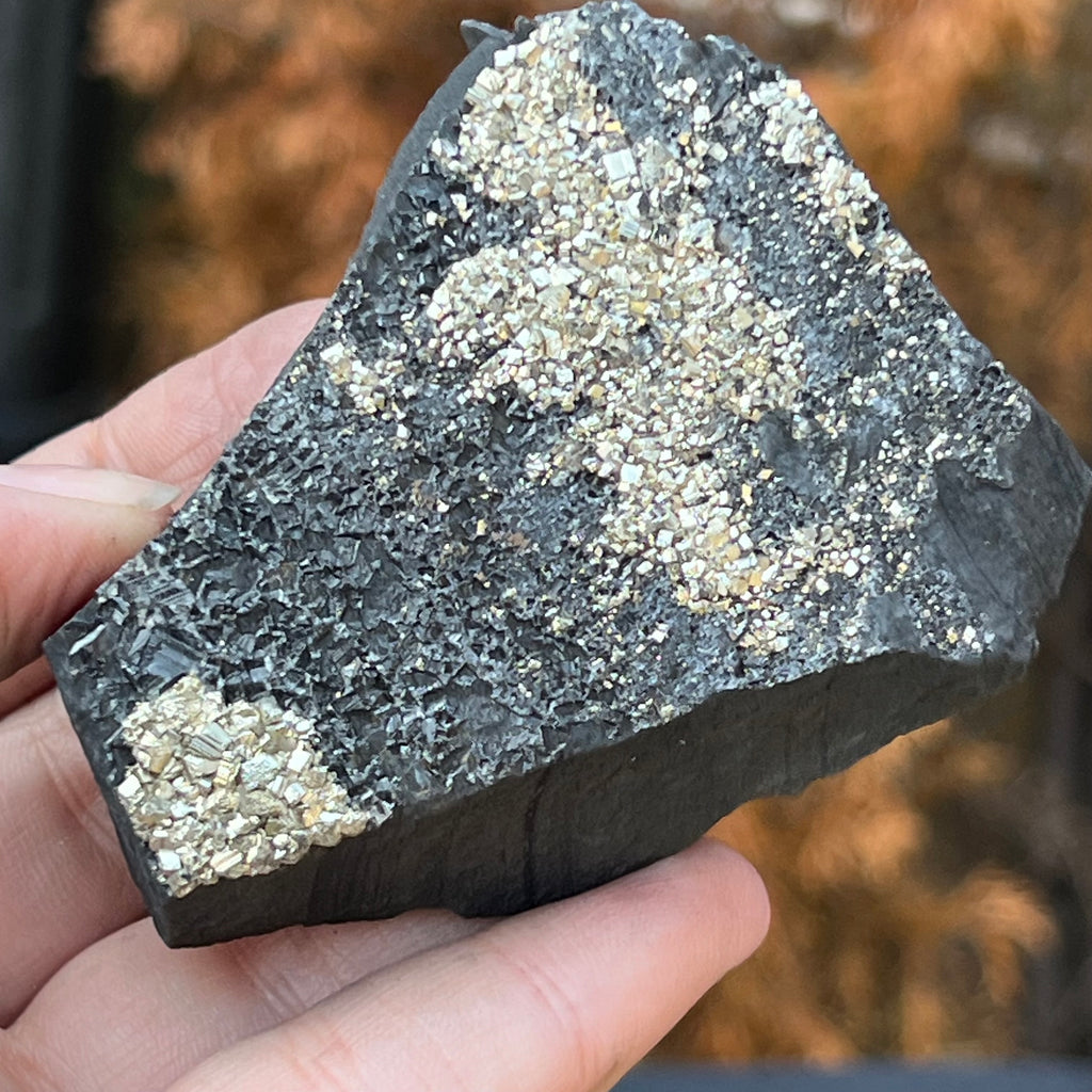Shungit cu pirita model 8, druzy.ro, cristale 5
