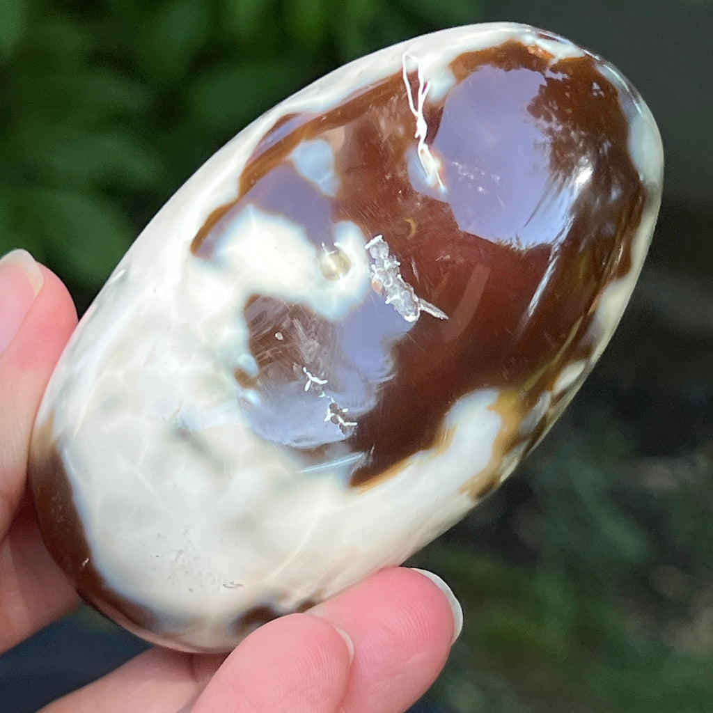 Agat Orca palmstone model 9, pietre semipretioase - druzy.ro 1 