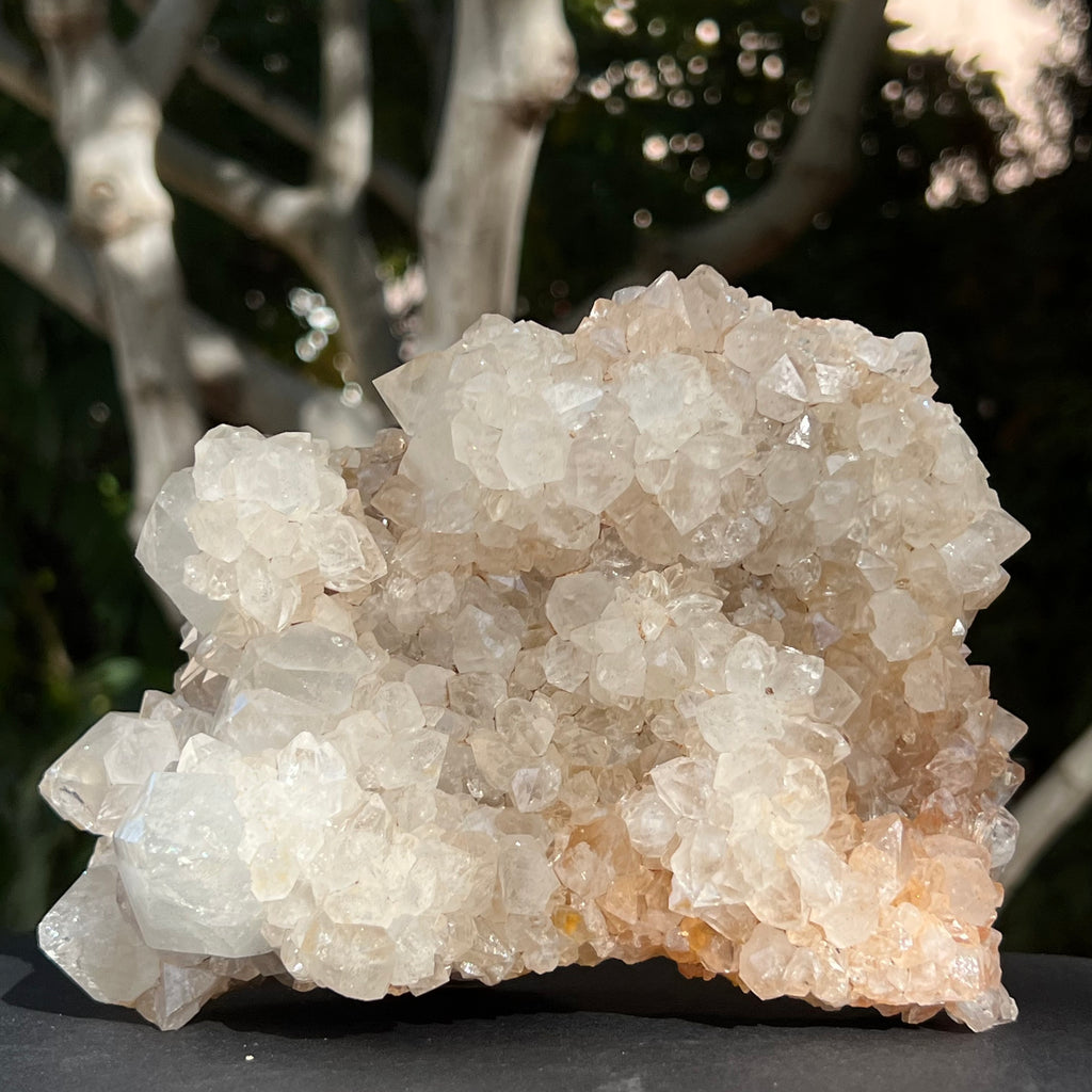 Cluster XL cuart cactus / cuart spirit model 1 Africa de Sud, druzy.ro, cristale 3
