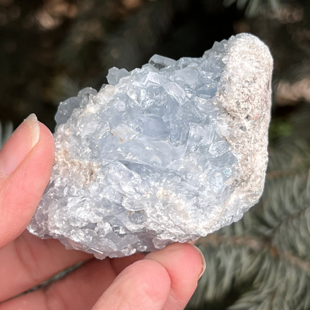 Celestit / celestina cluster m1, pietre semipretioase - druzy.ro 6 