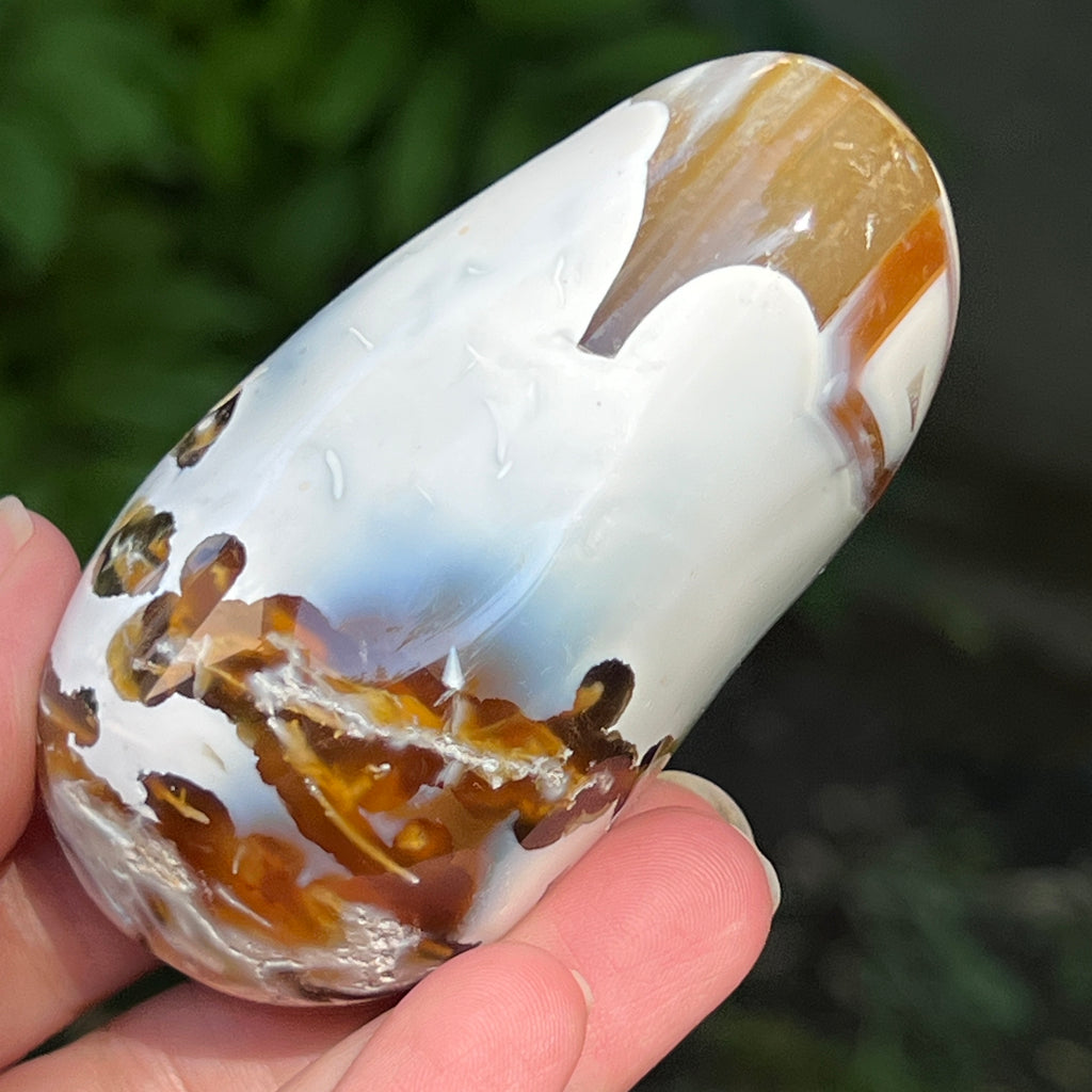 Agat Orca palmstone model 8, pietre semipretioase - druzy.ro 3 