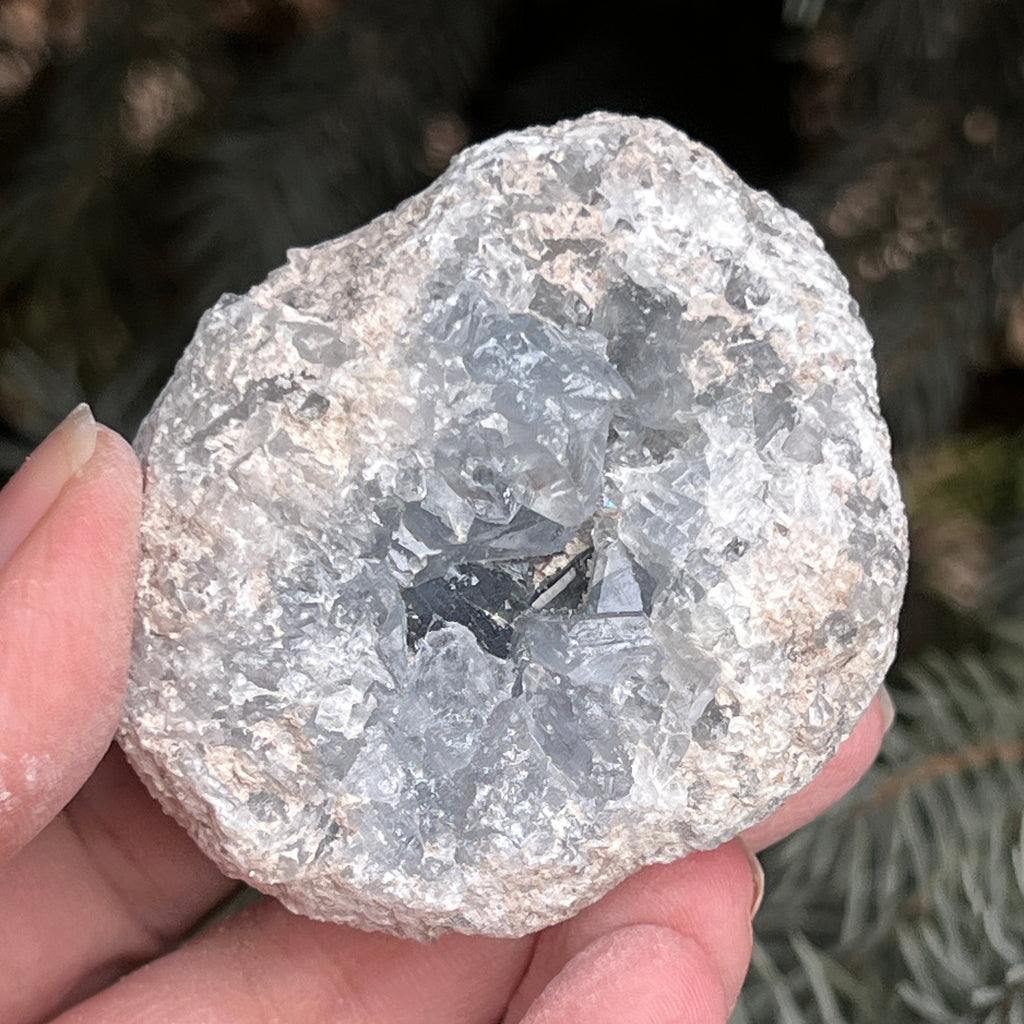 Celestit / celestina cluster m13, pietre semipretioase - druzy.ro 5 