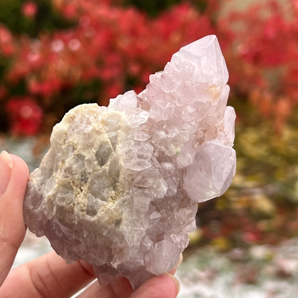 Cluster cuart cactus / cuart spirit ametist liliac model 9A, druzy.ro, cristale 6