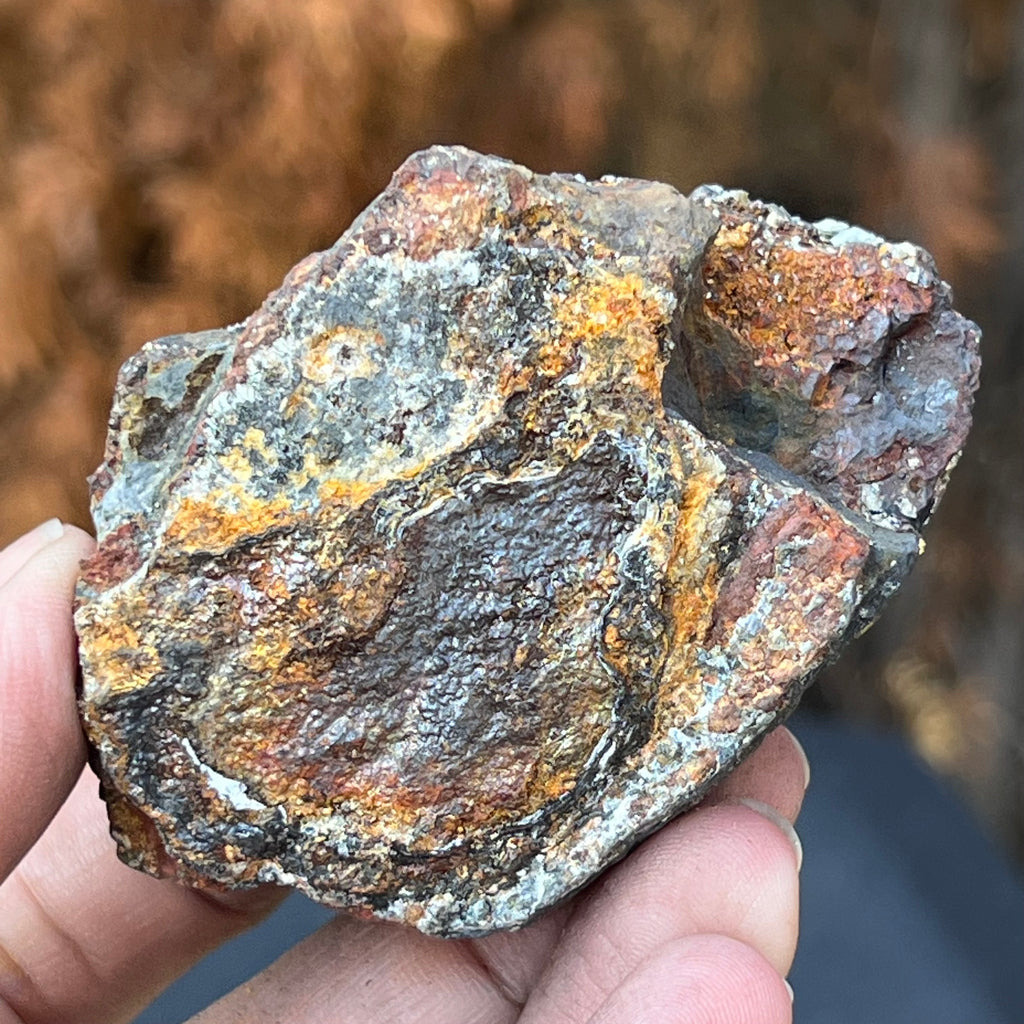Shungit cu pirita model 10, druzy.ro, cristale 4
