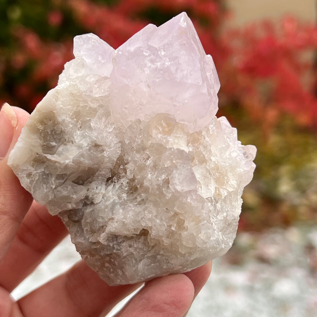 Cluster cuart cactus / cuart spirit ametist liliac model 11A, druzy.ro, cristale 1
