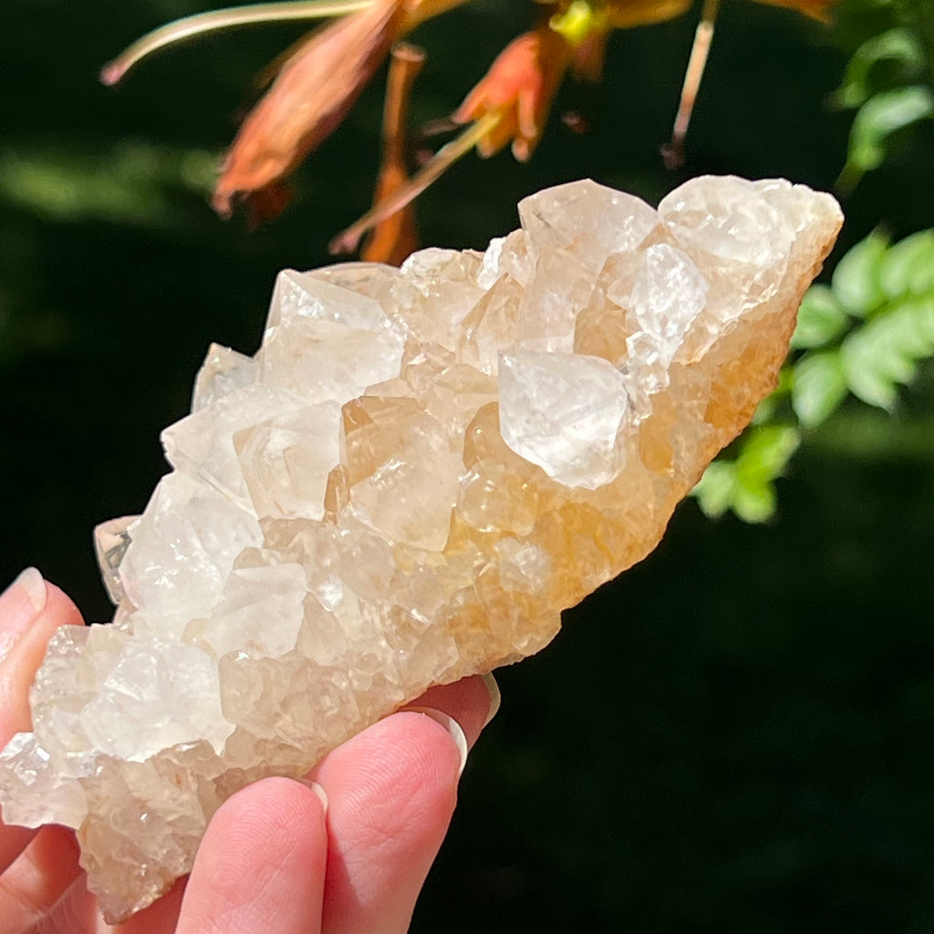 Cluster cuart lamaie Zambia, golden healer model Lm4, pietre semipretioase - druzy.ro 2