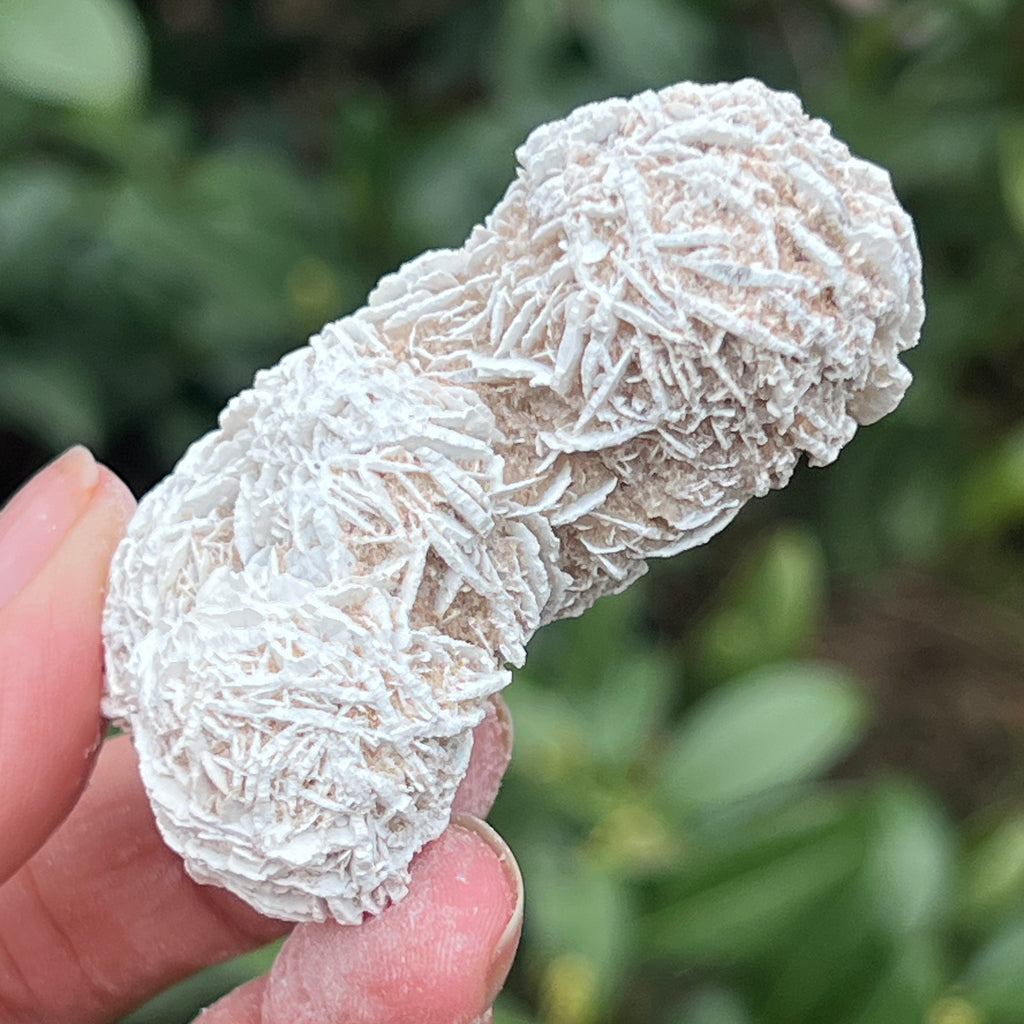 Trandafirul desertului model 5, pietre semipretioase - druzy.ro 6 