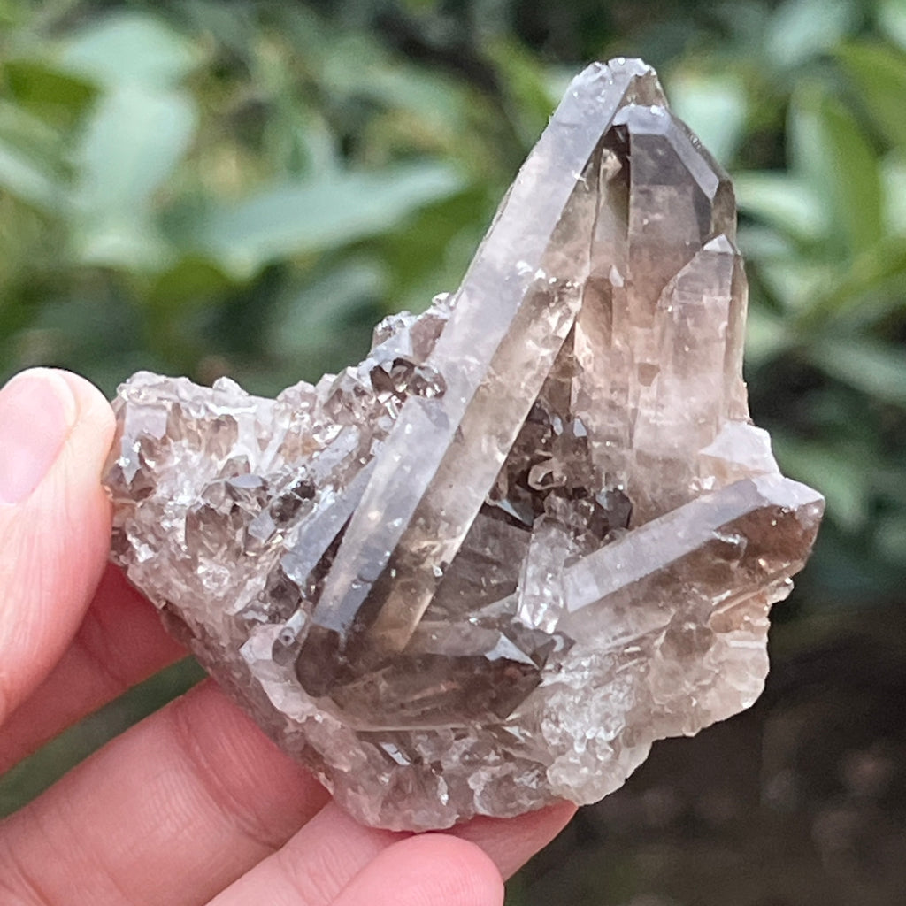 Cluster cuart fumuriu din Brazilia m6, pietre semipretioase - druzy.ro 7 