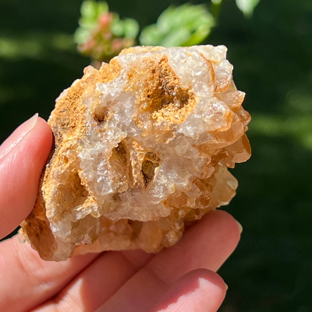 Cluster cuart lamaie Zambia, golden healer model Lm12, pietre semipretioase - druzy.ro 5