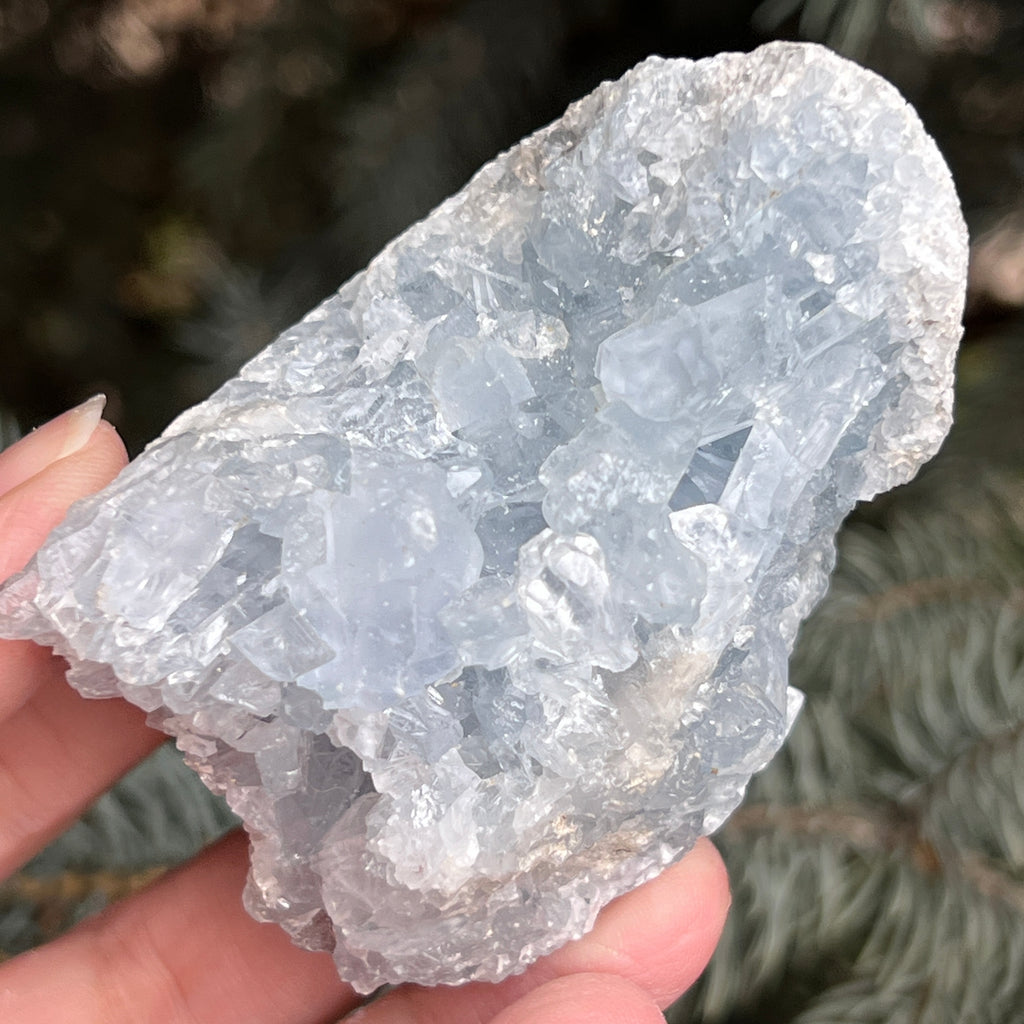Celestit / celestina cluster m1, pietre semipretioase - druzy.ro 2 