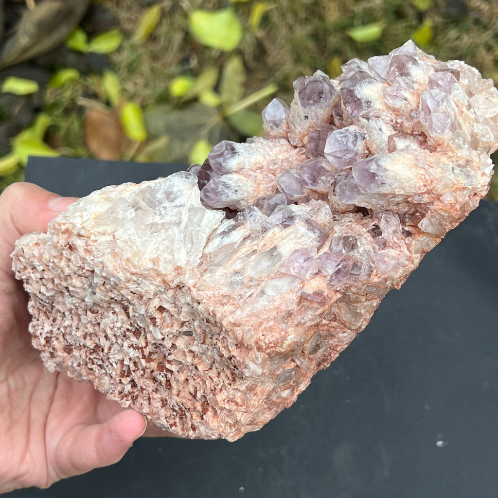 Cluster ametist sweet model 3 din Zambia, druzy.ro, cristale 3