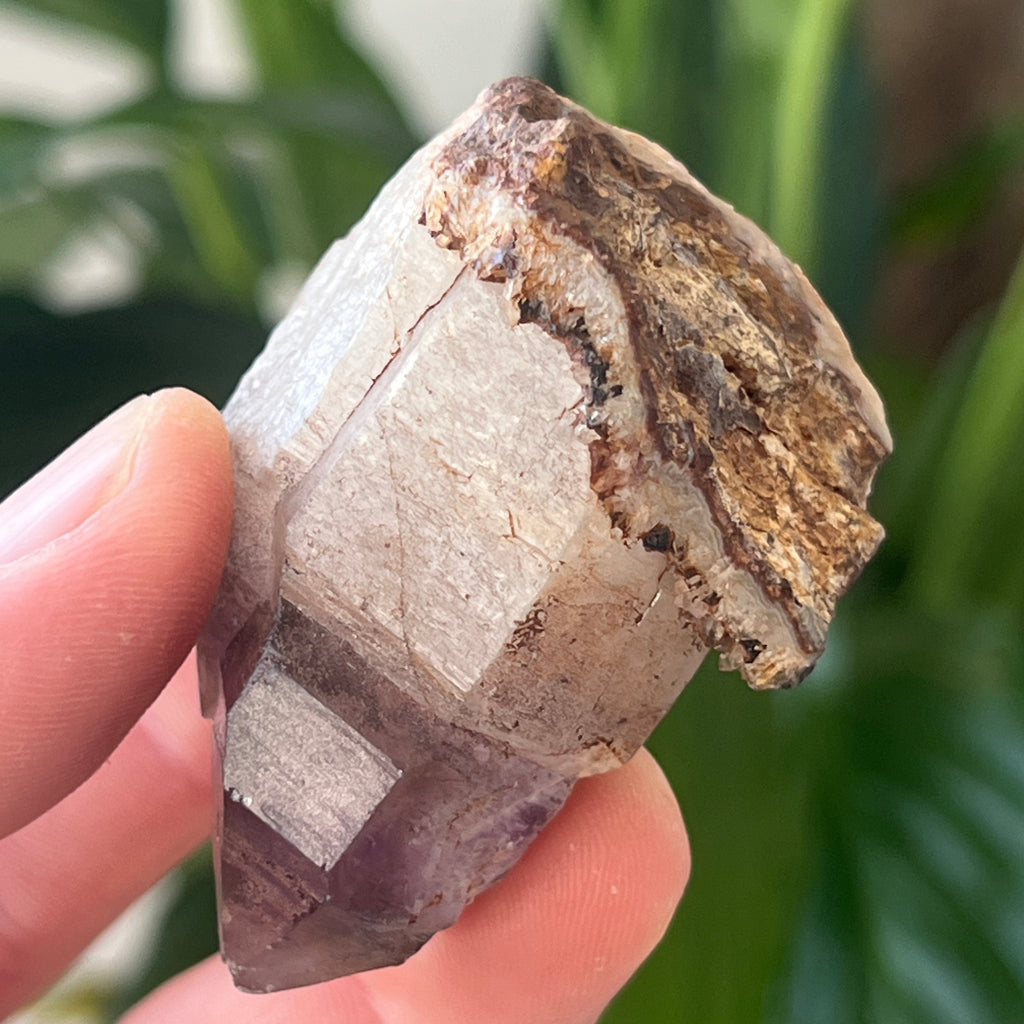 Ametist generator/varf mina Brandberg | Model L63, pietre semipretioase - druzy.ro 3 