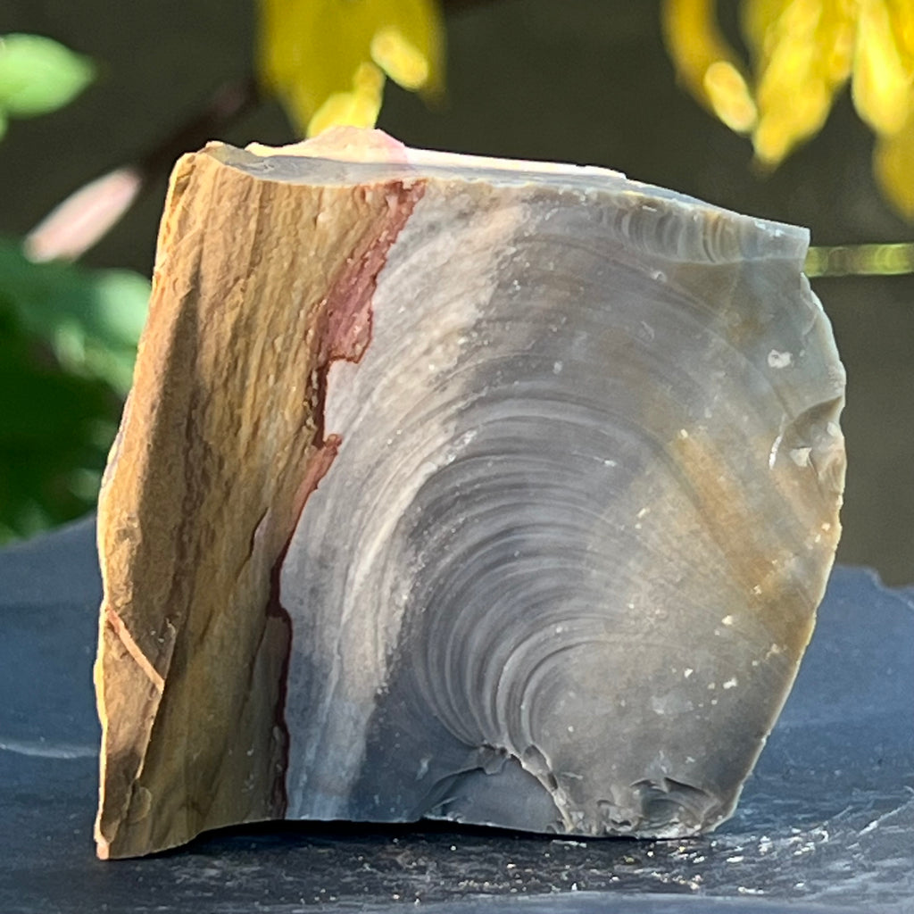 Jasp policrom piatra bruta model 15, pietre semipretioase - druzy.ro 1 