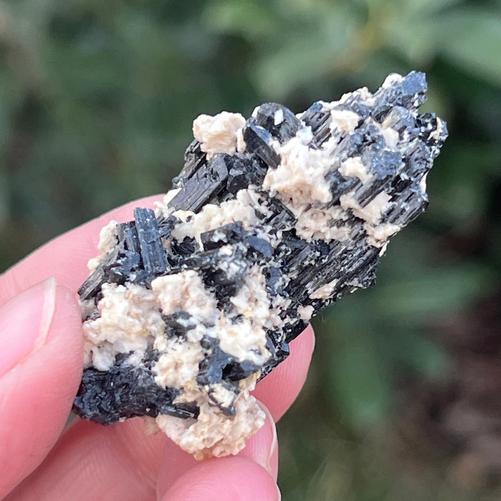 Cluster turmalina neagra cu vermiculita din Erongo m12, pietre semipretioase - druzy.ro 6 
