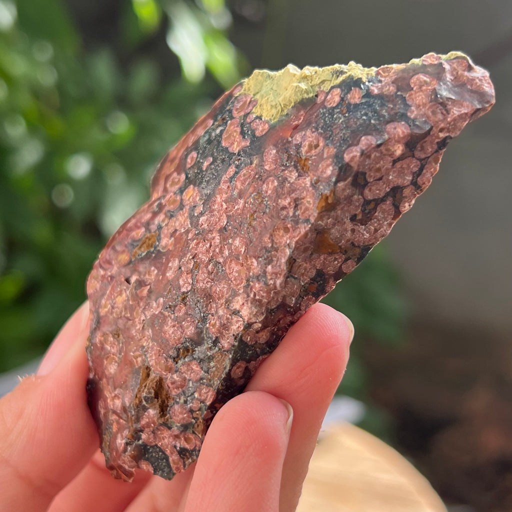 Sardonix India piatra bruta m12, pietre semipretioase - druzy.ro 3 