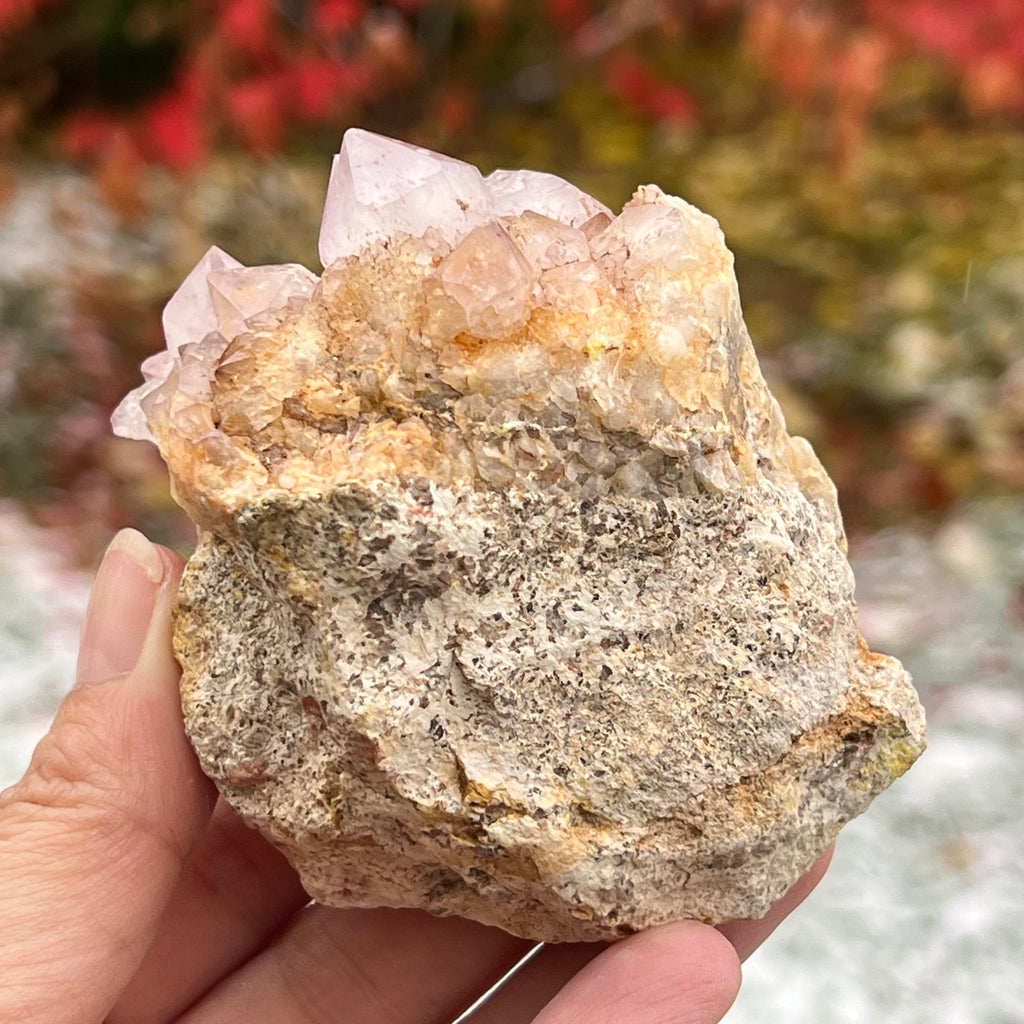 Cluster cuart cactus / cuart spirit ametist liliac model 16A, druzy.ro, cristale 5