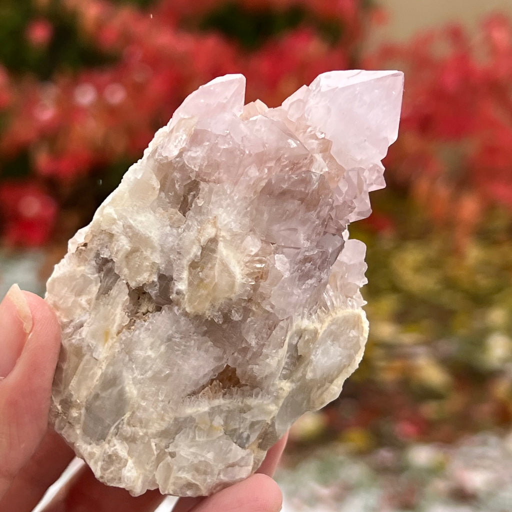 Cluster cuart cactus / cuart spirit ametist liliac model 9A, druzy.ro, cristale 5