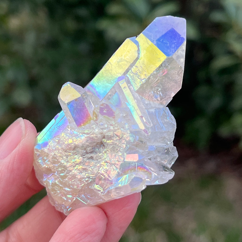 Cluster cuart incolor AURA, floare de mina m6, pietre semipretioase - druzy.ro 4 
