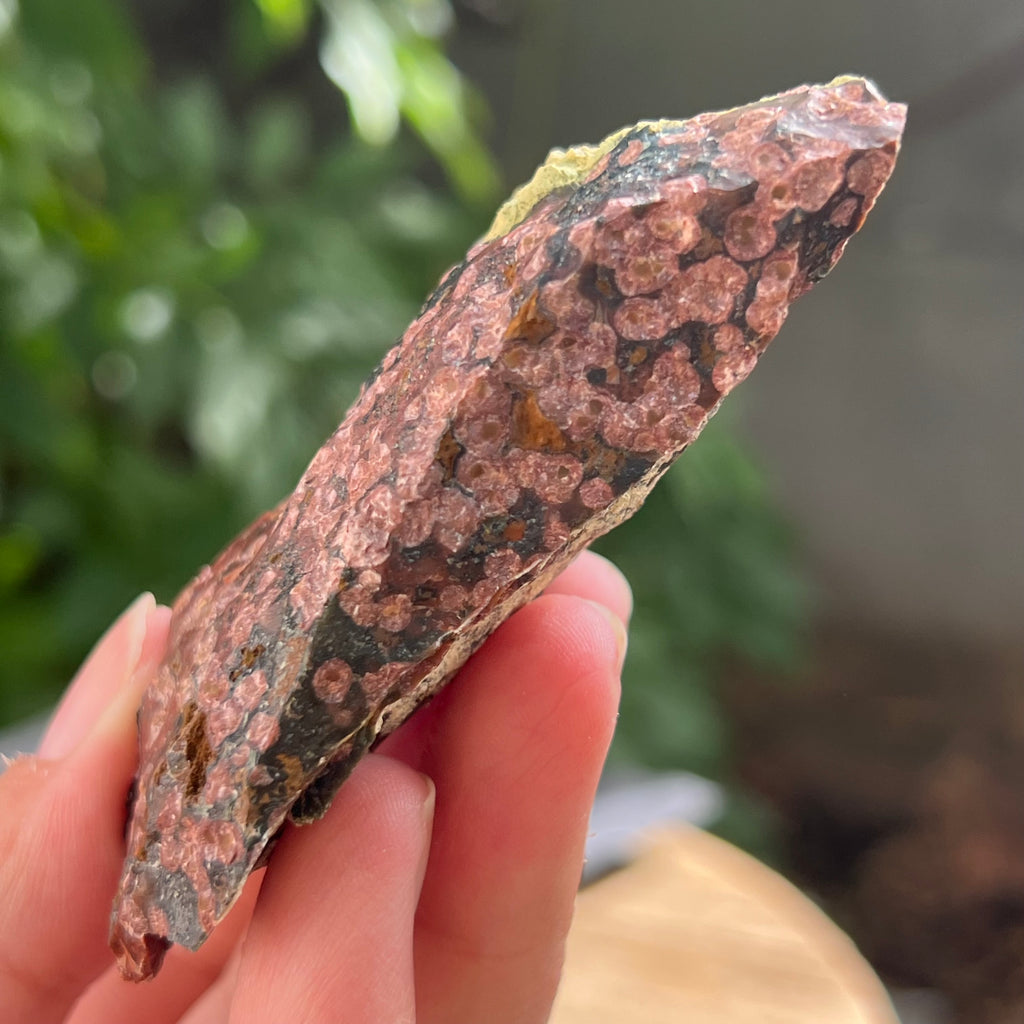 Sardonix India piatra bruta m12, pietre semipretioase - druzy.ro 4 