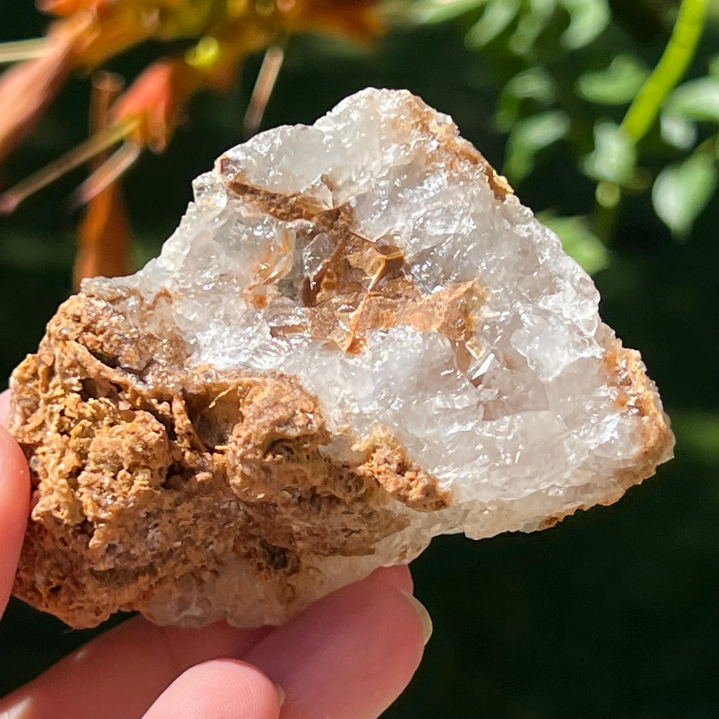 Cluster cuart lamaie Zambia, golden healer model Lm7, pietre semipretioase - druzy.ro 6