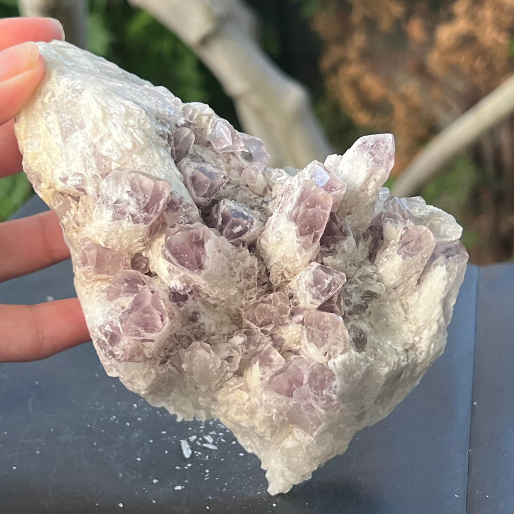 Cluster ametist sweet model 5a/10, din Zambia, druzy.ro, cristale 1
