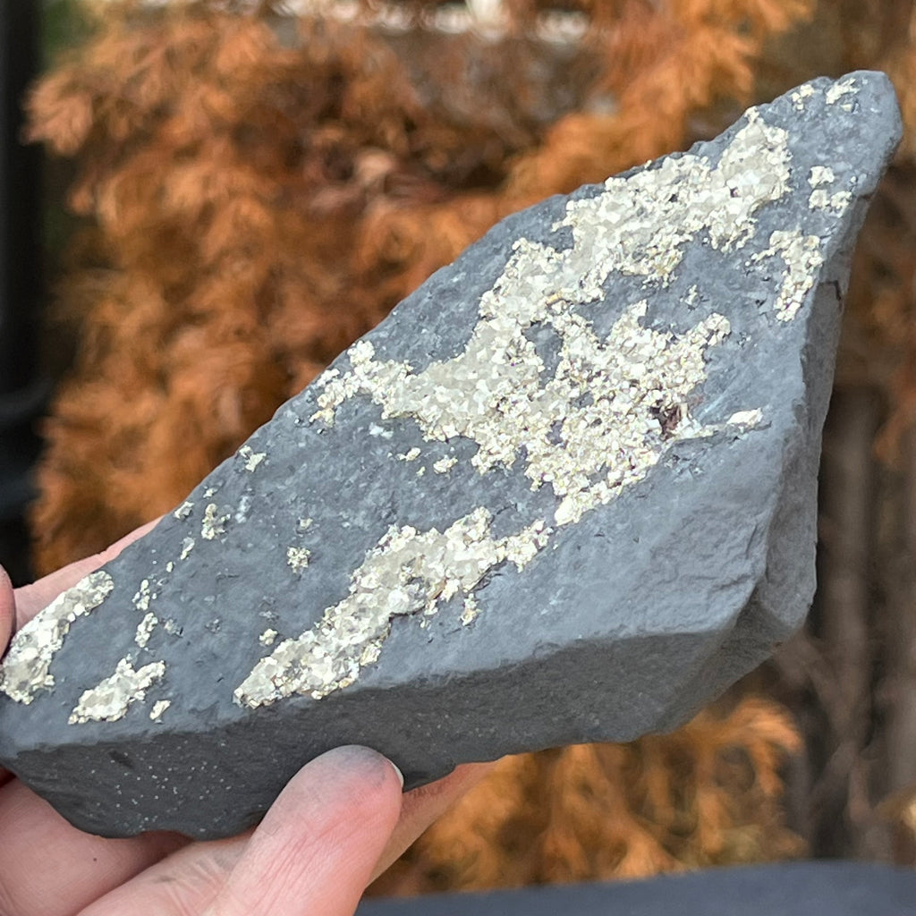 Shungit cu pirita model L1, druzy.ro, cristale 2