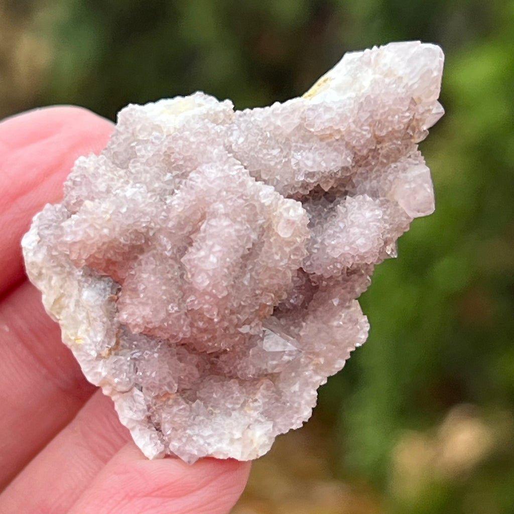 Cluster cuart spirit/cuart cactus mini model AF3/8, druzy.ro, cristale 1