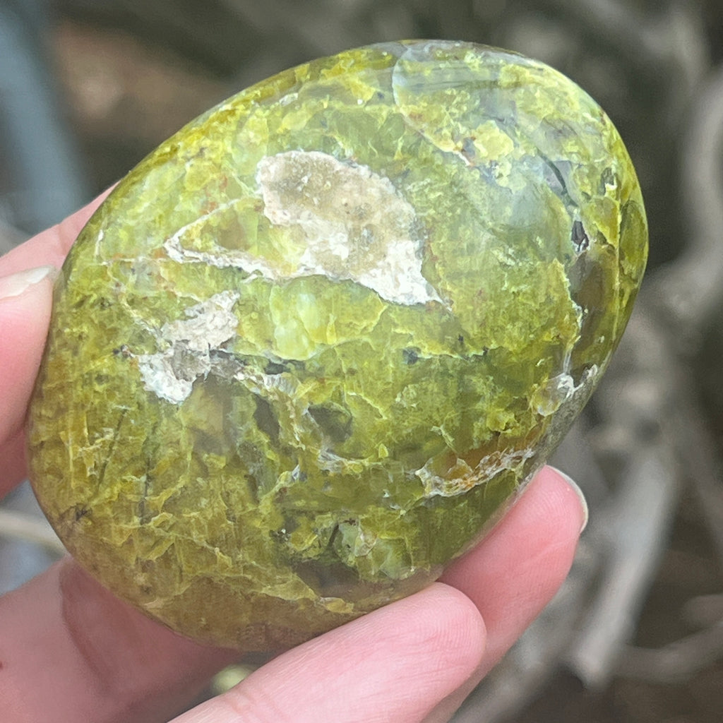 Opal verde palmstone m12, pietre semipretioase - druzy.ro 5 
