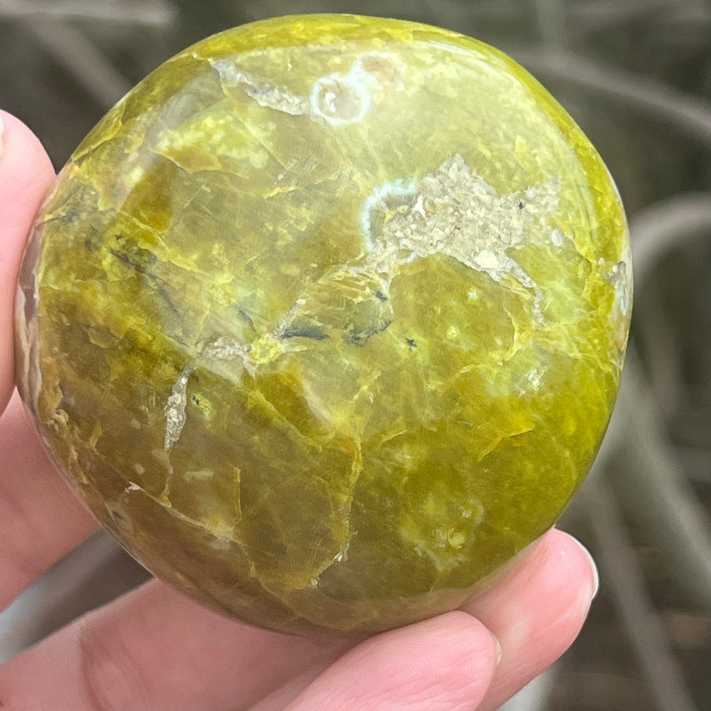 Opal verde palmstone m4, pietre semipretioase - druzy.ro 5 