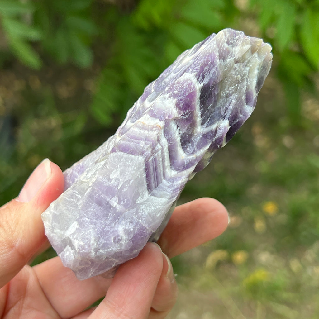 Ametist chevron piatra bruta/ varf m1, pietre semipretioase - druzy.ro 3 