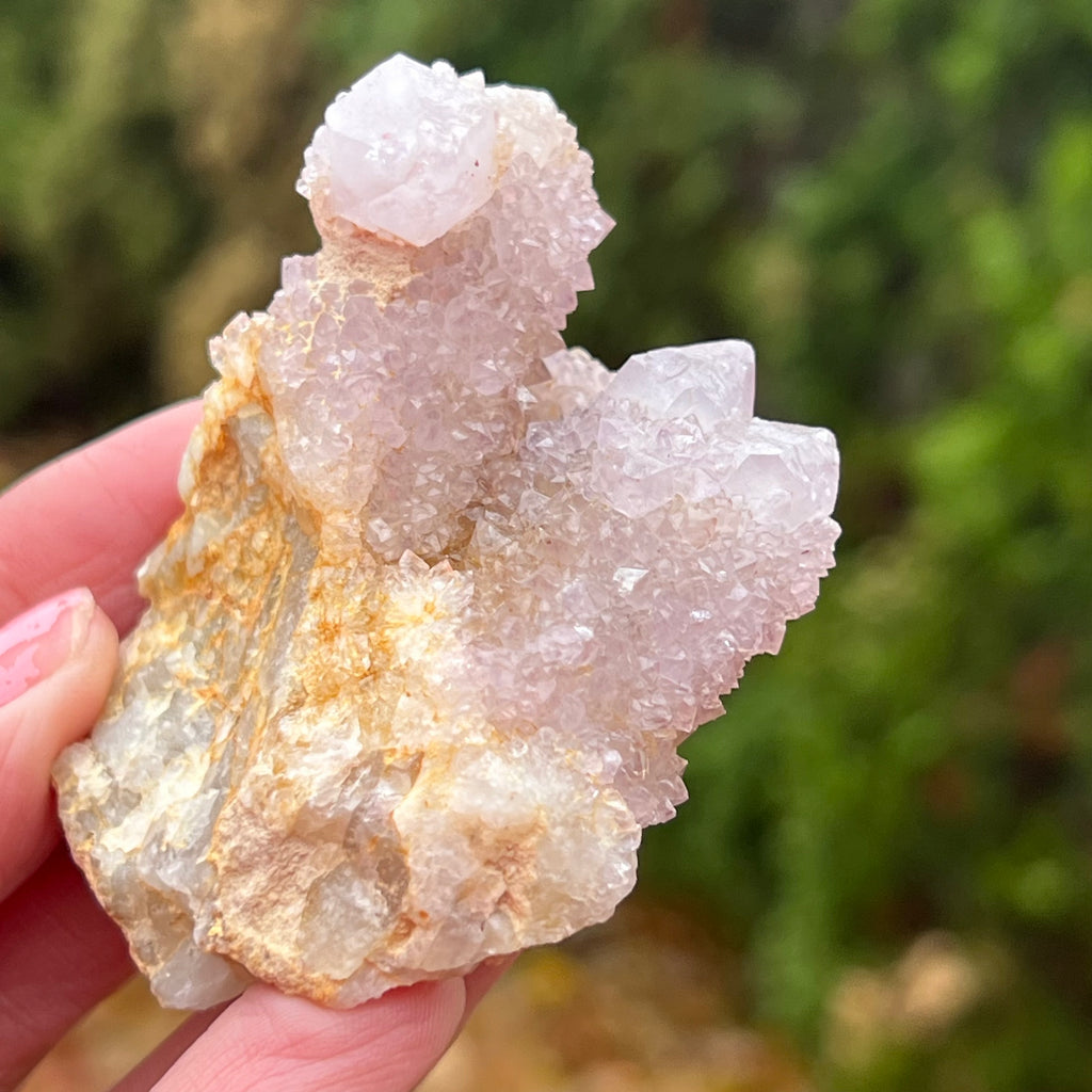 Cluster cuart spirit/cuart cactus mini model AF3/4, druzy.ro, cristale 1