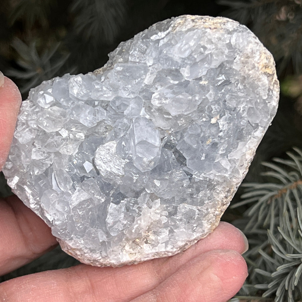 Celestit /celestina cluster m9, pietre semipretioase - druzy.ro 1 
