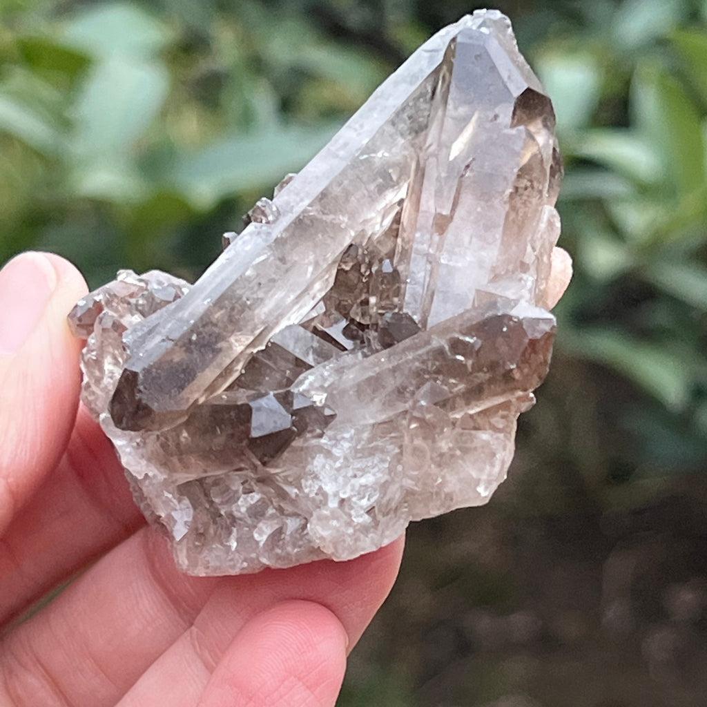 Cluster cuart fumuriu din Brazilia m6, pietre semipretioase - druzy.ro 4 