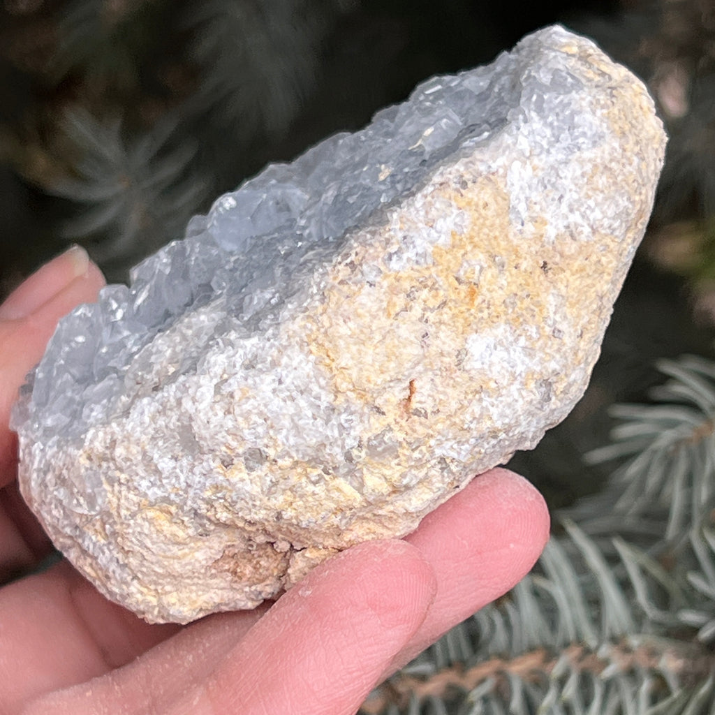 Celestit /celestina cluster m9, pietre semipretioase - druzy.ro 3 