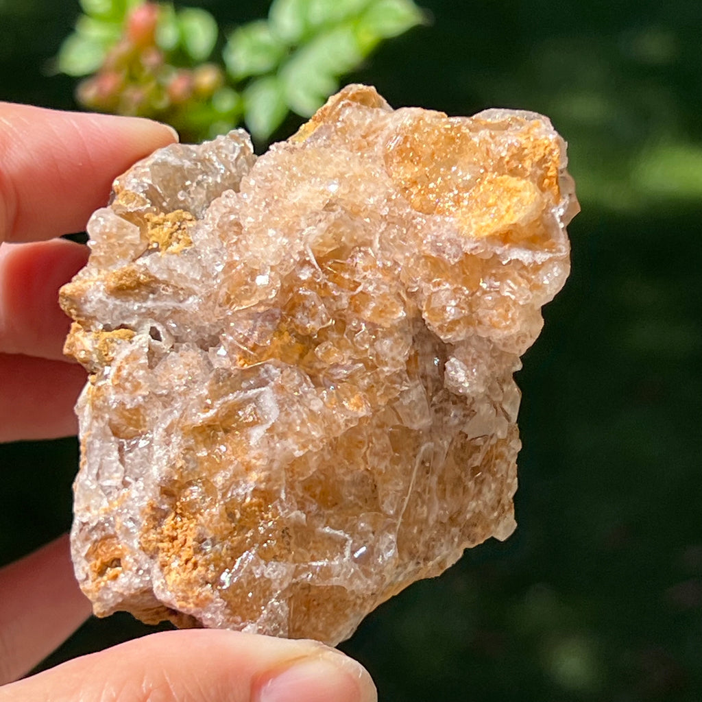 Cluster cuart lamaie Zambia, golden healer model Lm3, pietre semipretioase - druzy.ro 6