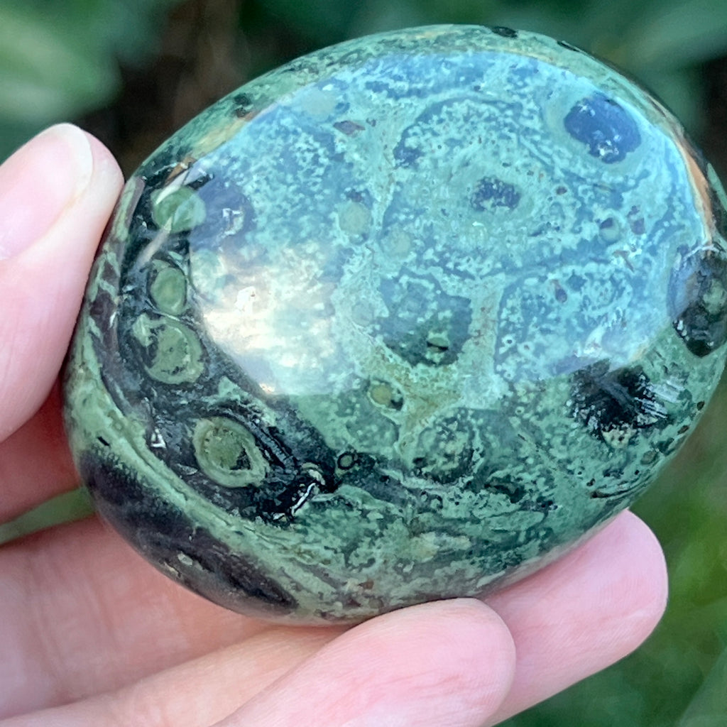 Palmstone jasp kambaba model 5, pietre semipretioase - druzy.ro 7 