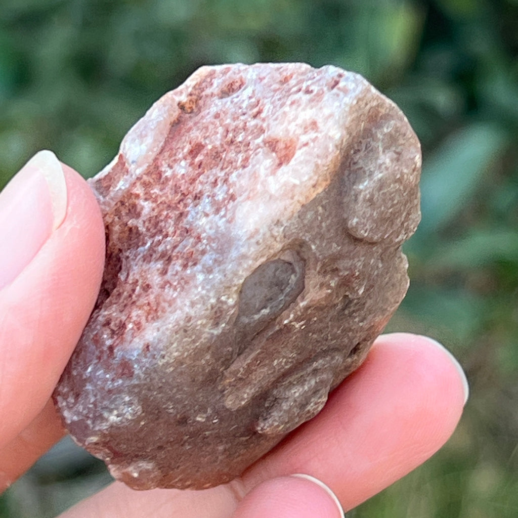 Nodul carneol piatra bruta model 8, pietre semipretioase - druzy.ro 3 