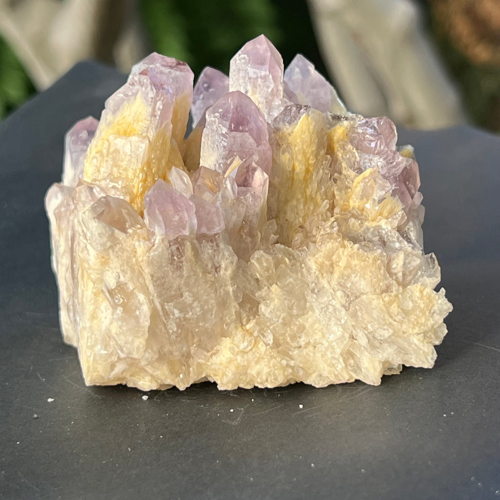 Cluster ametist sweet model 5a/3, din Zambia, pietre semipretioase - druzy.ro 4