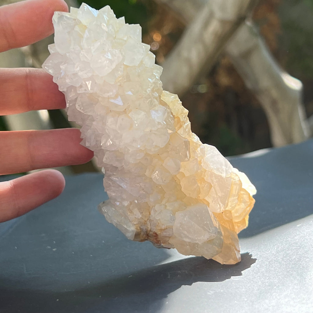 Cluster cuart cactus / cuart spirit FLOWER model F5, druzy.ro, pietre semipretioase 4