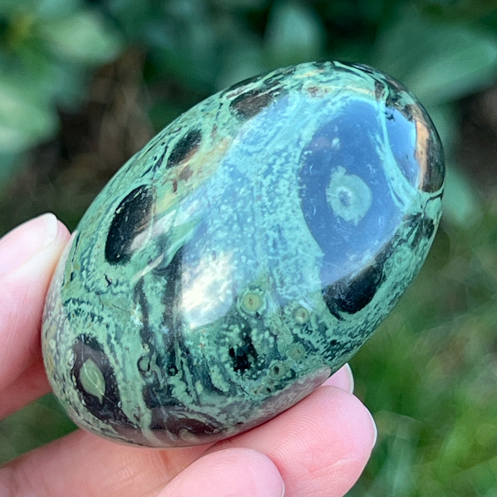 Palmstone jasp kambaba model 5, pietre semipretioase - druzy.ro 6 