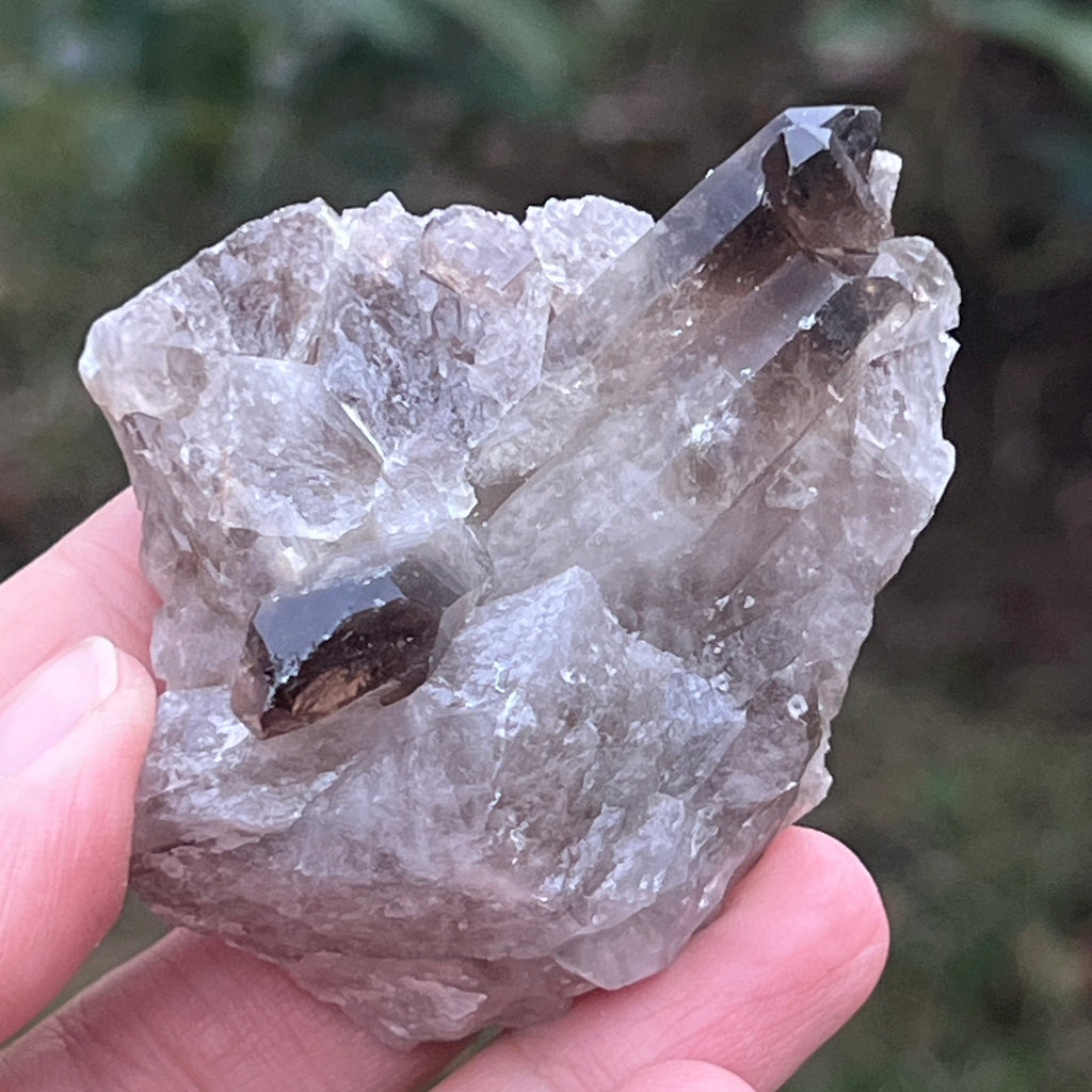 Cluster cuart fumuriu din Brazilia m10, pietre semipretioase - druzy.ro 1 