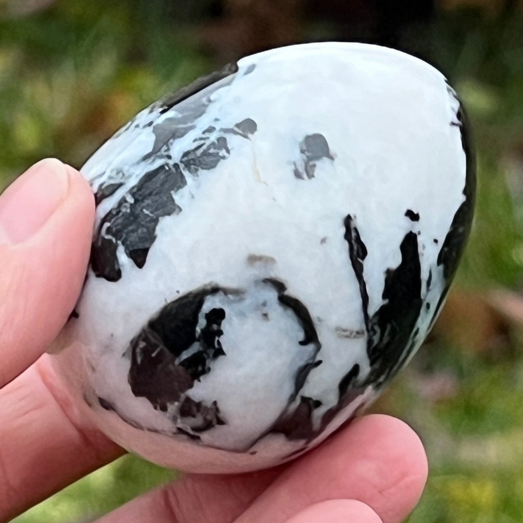 Ou marmură cu dungi Zebra din Australia model 3, pietre semipretioase - druzy.ro 9 